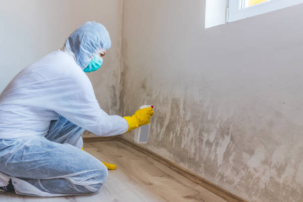 Hvac And Air Duct Mold Remediation inspection of HVAC system in Lawrence Township