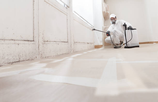 Black mold remediation team in Lawrence Township
